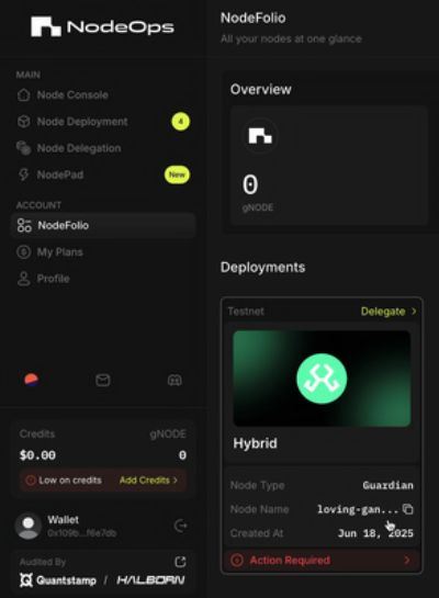 Click the Hybrid card to start delegation step.