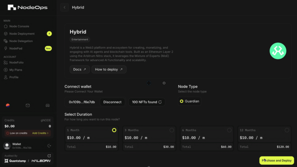 Setup your subscription duration to run Hybrid Nodes.